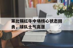 爱游戏(中国)-莱比锡红牛中场核心状态回勇，球队士气高涨