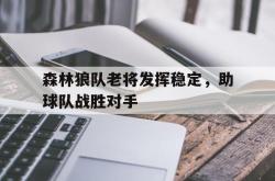 爱游戏-森林狼队老将发挥稳定，助球队战胜对手