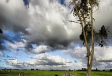 爱游戏(中国)-塔图姆新星败北表现突出，中国队前途光明！