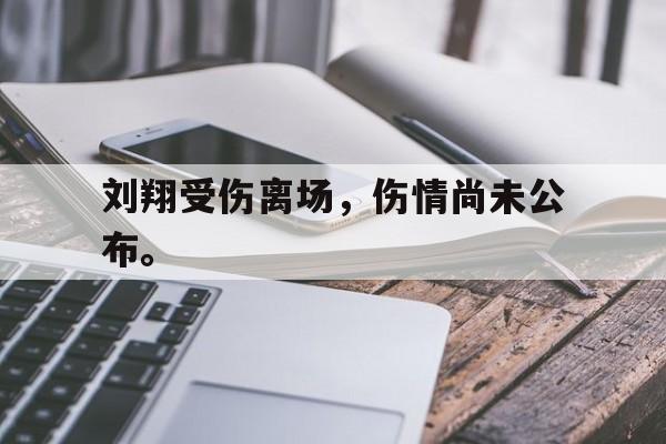 刘翔受伤离场，伤情尚未公布。
